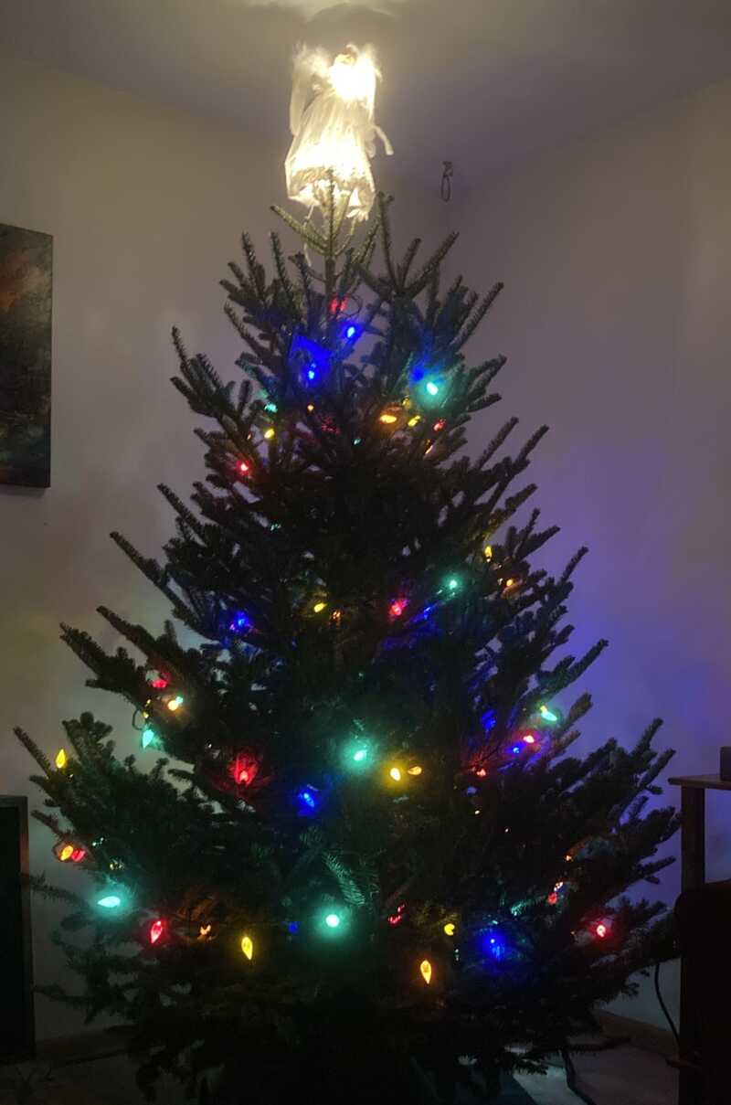 Groggy tree before ornaments 