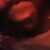 Profile picture of Nathan