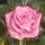 Profile picture of LoveToBe