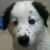Profile picture of Ms Hopeful