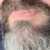 Profile picture of Jay
