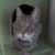 Profile picture of Neal