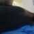 Profile picture of James