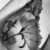 Profile picture of MieleDolce