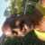 Profile picture of Gabriel Michael