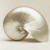 Profile picture of IshInna