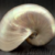 Profile picture of IshInna