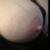 Profile picture of Top Shelf Tits
