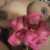 Profile picture of PrettyKi