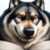 Profile picture of Auswolf