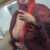 Profile picture of Vena