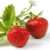 Profile picture of Berry