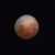 Profile picture of Travis