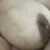 Profile picture of Shanti