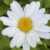 Profile picture of Tenderness
