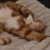 Profile picture of John M