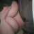 Profile picture of Beckfield_92