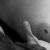 Profile picture of M
